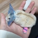 한성동물병원 이미지