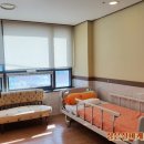 성은수지 이미지