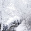 겨울