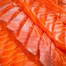 건대사시미 이미지