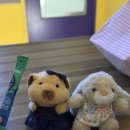 토마토2 노래연습장 이미지