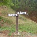 산호장여관 이미지