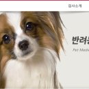 팝애니랩 이미지