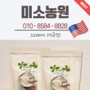 설탕가루 이미지