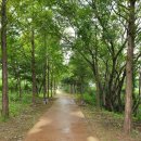 경안천습지생태공원 이미지