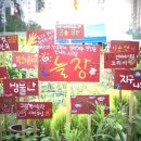 마켓제이앤제이 이미지