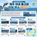 씨유서귀영락해안도로점 | [제주여행] 제주 야생 돌고래 관찰 명소 BEST 7! 출몰 시간·관찰 꿀팁 총정리 2026