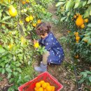 내혜홀농장 이미지