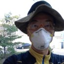 고능말로 이미지