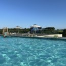 엘리스테이보령 이미지