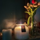 소이하우스 | 제로캔들 천연소이캔들 향초 집안 냄새제거에 사용해본 후기