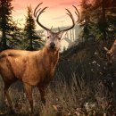 레이s PC 이미지