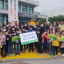 횡단보도옐로카펫 이미지