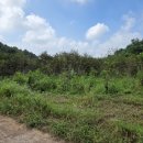 사봉면-5 이미지