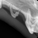 아쿠아동물병원 이미지