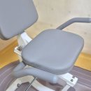 이젠자전거 | 건강 재활운동용으로 구입한 좌식 실내자전거 내돈내산 후기, 러그매트, 밸런스 쿠션안장, 발빠짐 방지...