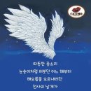 천사커피 탄생 명물- 카티모 이미지