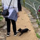 오르비스펜션 | [경남 거제] 거제도의 이국적인 섬 외도 보타니아/공곶이 4월 17일 기준 방문기 솔직후기