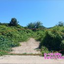 내리1리 마을회관 이미지