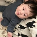 땅콩228