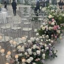 베르헤어 - 안양시 동안구 | ෆ wedding 24 🕊️드디어 더베르G 시식 후기