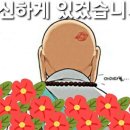 총알의 깊이에 대한 이야기~ 이미지