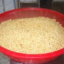 상미농장 이미지