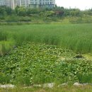 수원-0602 이미지