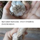 남도수퍼 이미지