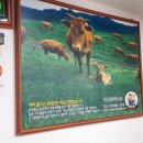 금봉축산 이미지