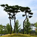 중앙공원 입구 이미지