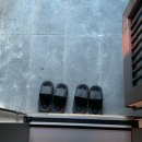 거멍곶낭 이미지