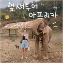햎새투어*해피새아랑 아프리카여행 케냐탄자니아 9박 12일 일정, 비용 및 공지글