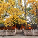 중국 소주 서원사 西園寺
