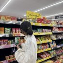 루트4 | 4~6월 추천 일본 여행지 | 도야마 알펜루트 3박4일 후기 [1]