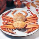 영덕대게 이미지