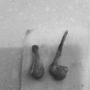 산호동물병원 이미지