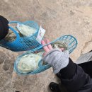 형제목장 | 연보람목장 성인 둘 후기