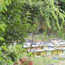 김경순농장 이미지