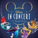 디즈니 인 콘서트 이미지
