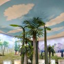 강원도립화목원 이미지