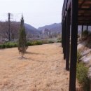 공인부동산중개사사무소 이미지