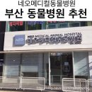 네오메디컬동물병원 이미지