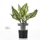 콜라보 협동조합 이미지