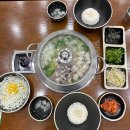 [천안 불당동] 전국에서 제일 맛있는 사위식당 우동사리필수!(사리공짜팁 공개)