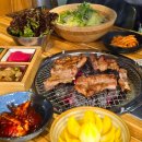 즐거운드라이세상 이미지