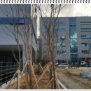 리라농장 이미지