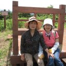 저지오름 이미지