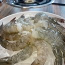 대교왕새우 이미지