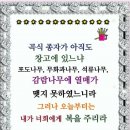 잊을수없는사람들